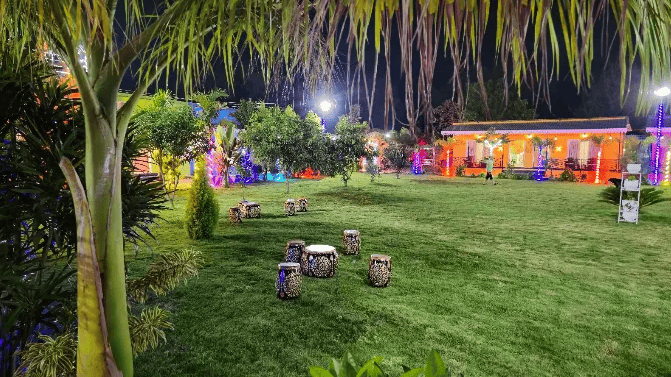 Lawn at night
